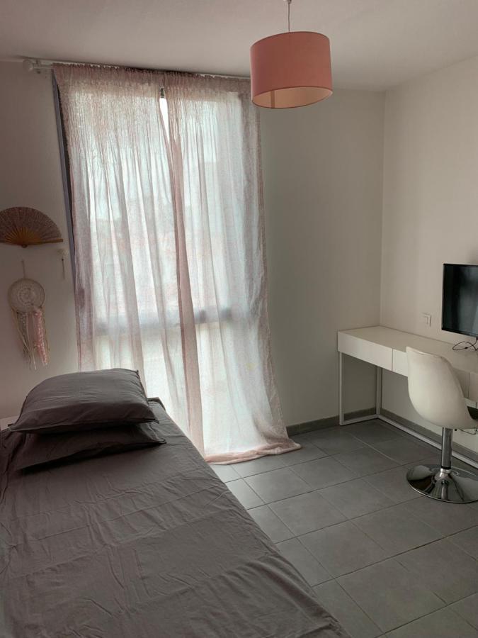 Superbe Appartement Avec Terrasse Тулуза Екстериор снимка