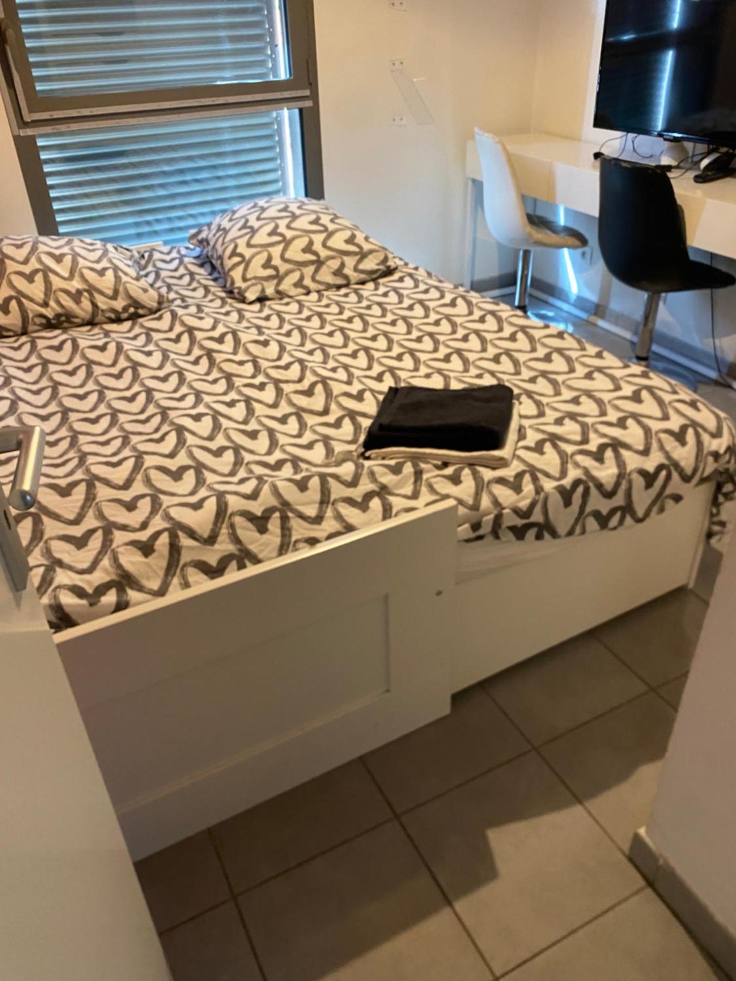 Superbe Appartement Avec Terrasse Тулуза Екстериор снимка